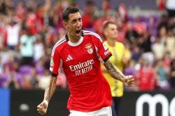 开云官方入口里程碑夜本菲卡绝杀压哨；德甲今晨刷纪录；震撼外界；数据趋势出现新变化的简单介绍